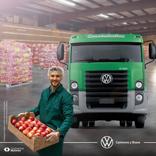camion-volkswagen-comprar-calidad